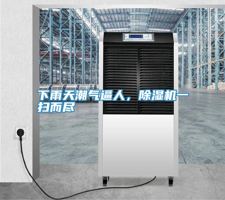 下雨天潮氣逼人，除濕機(jī)一掃而盡