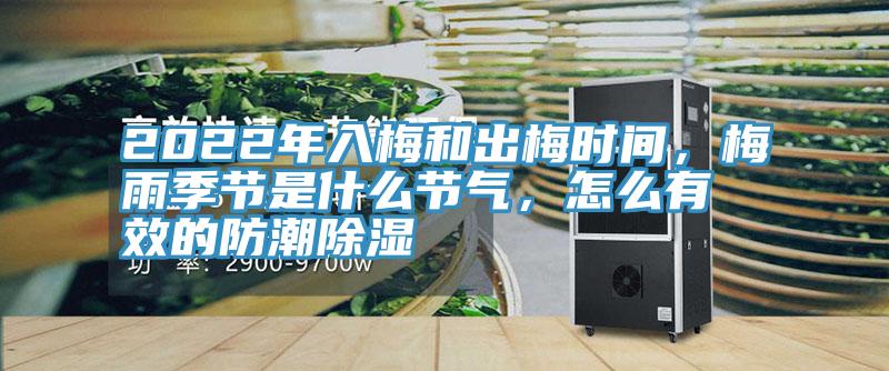 2022年入梅和出梅時間，梅雨季節(jié)是什么節(jié)氣，怎么有效的防潮除濕