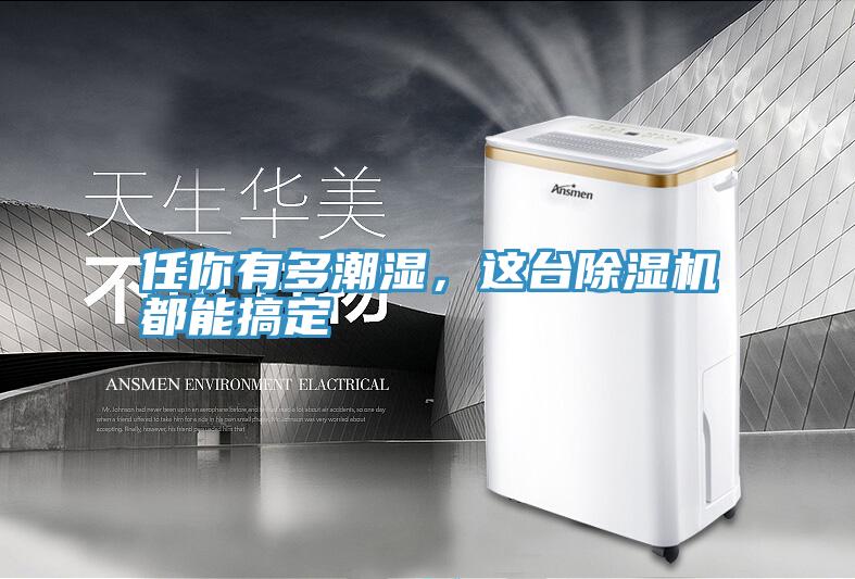 任你有多潮濕，這臺(tái)除濕機(jī)都能搞定