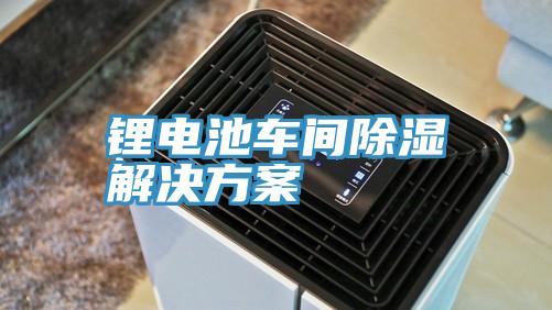 鋰電池車(chē)間除濕解決方案