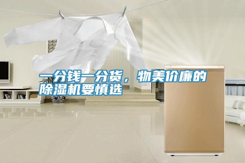 一分錢一分貨，物美價(jià)廉的除濕機(jī)要慎選