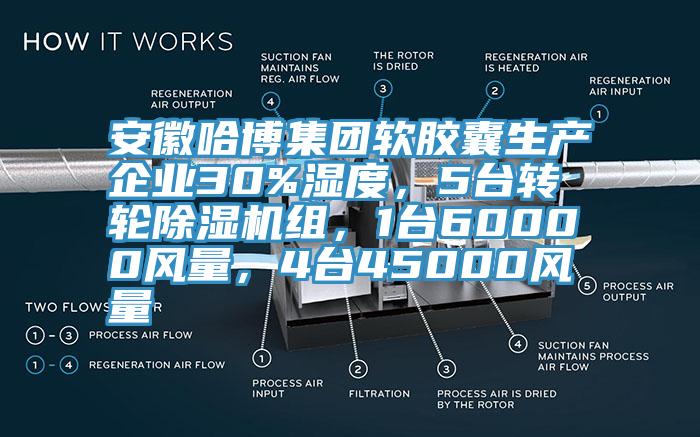 安徽哈博集團軟膠囊生產(chǎn)企業(yè)30%濕度，5臺轉(zhuǎn)輪除濕機組，1臺60000風量，4臺45000風量