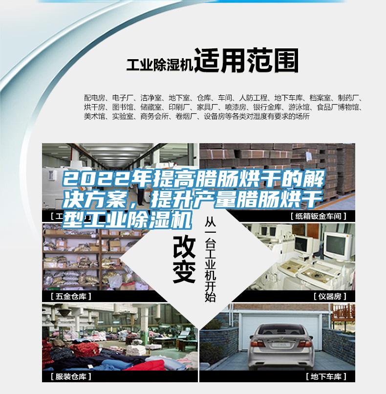 2022年提高臘腸烘干的解決方案，提升產(chǎn)量臘腸烘干型工業(yè)除濕機(jī)