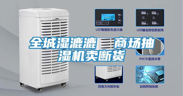 全城濕漉漉  商場(chǎng)抽濕機(jī)賣斷貨