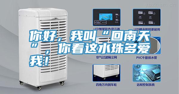 你好，我叫“回南天”，你看這水珠多愛我！