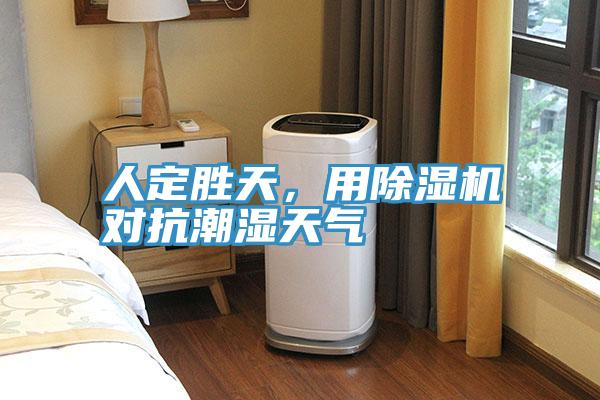 人定勝天，用除濕機對抗潮濕天氣
