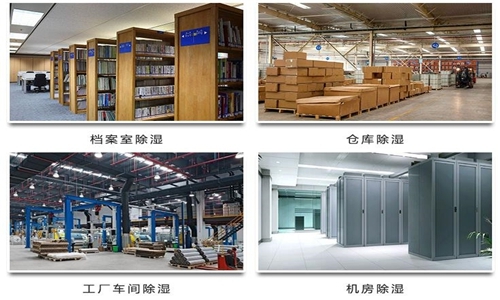為什么竹筍烘干房需要除濕機？