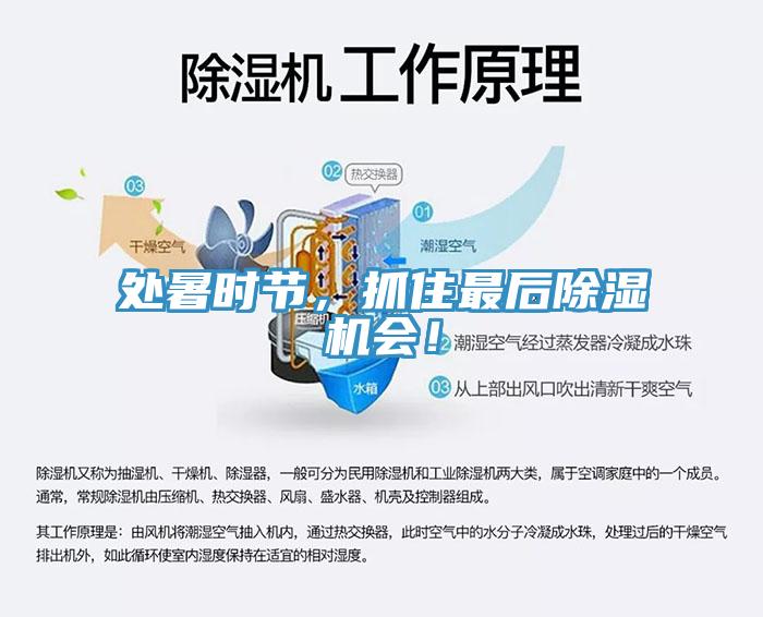 處暑時(shí)節(jié)，抓住最后除濕機(jī)會！