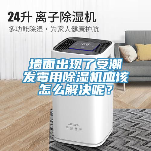 墻面出現(xiàn)了受潮發(fā)霉用除濕機應(yīng)該怎么解決呢？