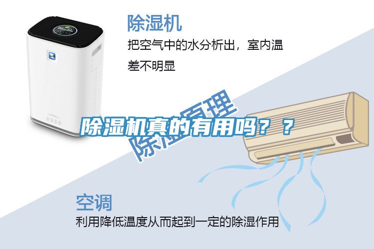 除濕機(jī)真的有用嗎？？