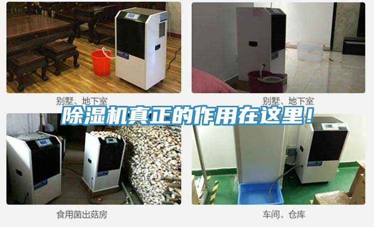 除濕機(jī)真正的作用在這里！
