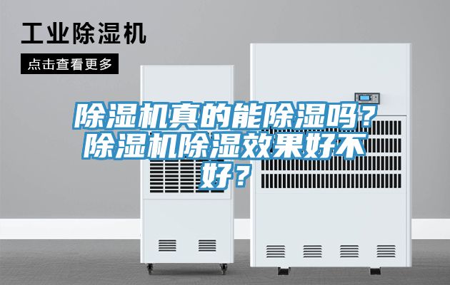 除濕機真的能除濕嗎？除濕機除濕效果好不好？
