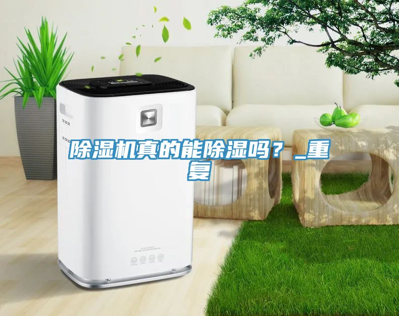 除濕機真的能除濕嗎？_重復(fù)