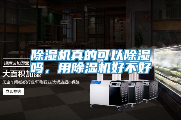 除濕機(jī)真的可以除濕嗎，用除濕機(jī)好不好