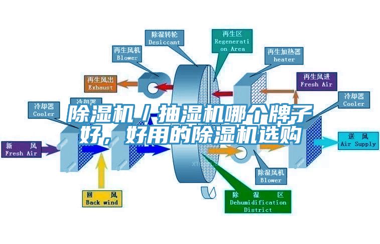 除濕機／抽濕機哪個牌子好，好用的除濕機選購