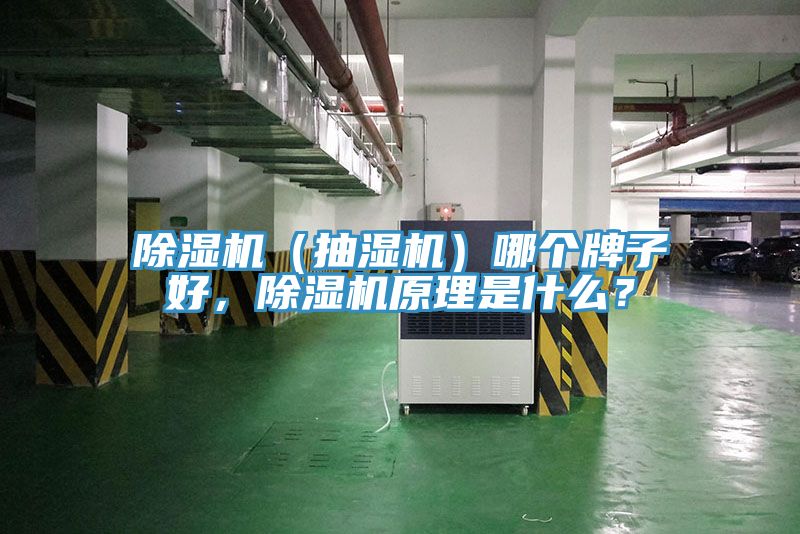 除濕機(jī)（抽濕機(jī)）哪個牌子好，除濕機(jī)原理是什么？