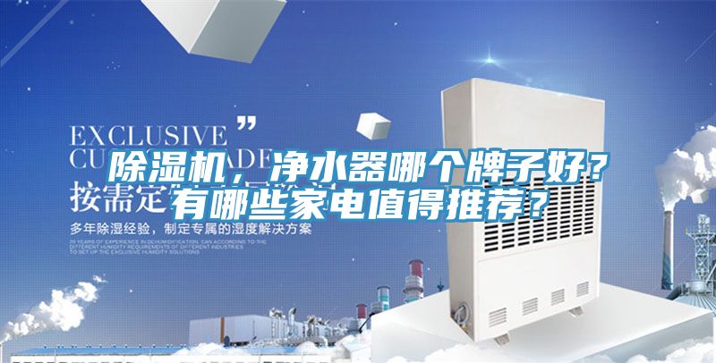 除濕機，凈水器哪個牌子好？有哪些家電值得推薦？