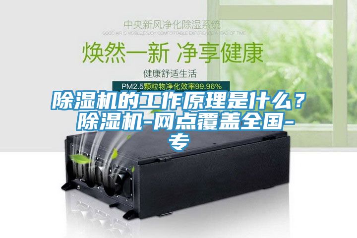 除濕機(jī)的工作原理是什么？ 除濕機(jī)-網(wǎng)點(diǎn)覆蓋全國(guó)-專