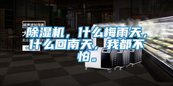 除濕機，什么梅雨天，什么回南天，我都不怕。