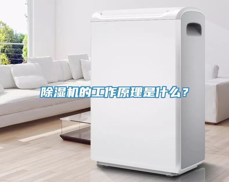 除濕機的工作原理是什么？