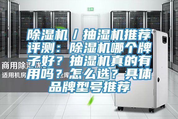 除濕機／抽濕機推薦評測：除濕機哪個牌子好？抽濕機真的有用嗎？怎么選？具體品牌型號推薦