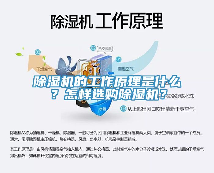 除濕機(jī)的工作原理是什么？怎樣選購(gòu)除濕機(jī)？