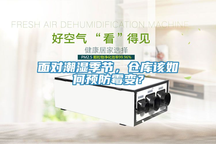 面對潮濕季節(jié)，倉庫該如何預防霉變？
