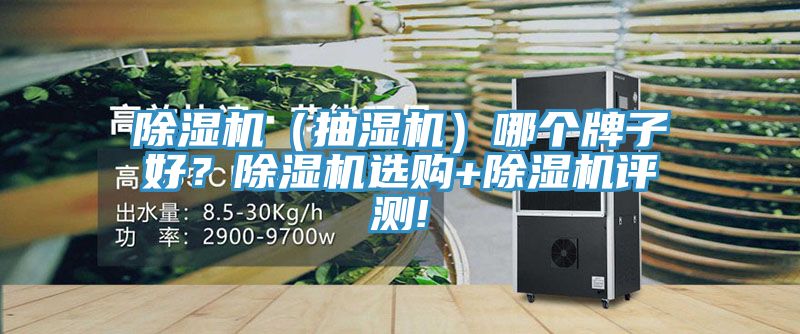 除濕機(jī)（抽濕機(jī)）哪個牌子好？除濕機(jī)選購+除濕機(jī)評測!