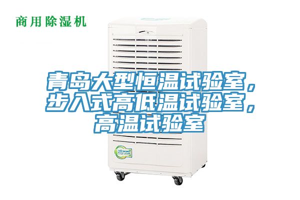 青島大型恒溫試驗室，步入式高低溫試驗室，高溫試驗室