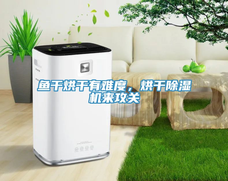 魚干烘干有難度，烘干除濕機(jī)來攻關(guān)