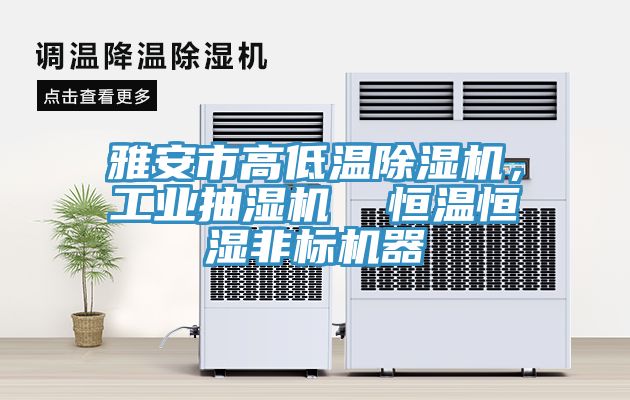 雅安市高低溫除濕機(jī)，工業(yè)抽濕機(jī)  恒溫恒濕非標(biāo)機(jī)器