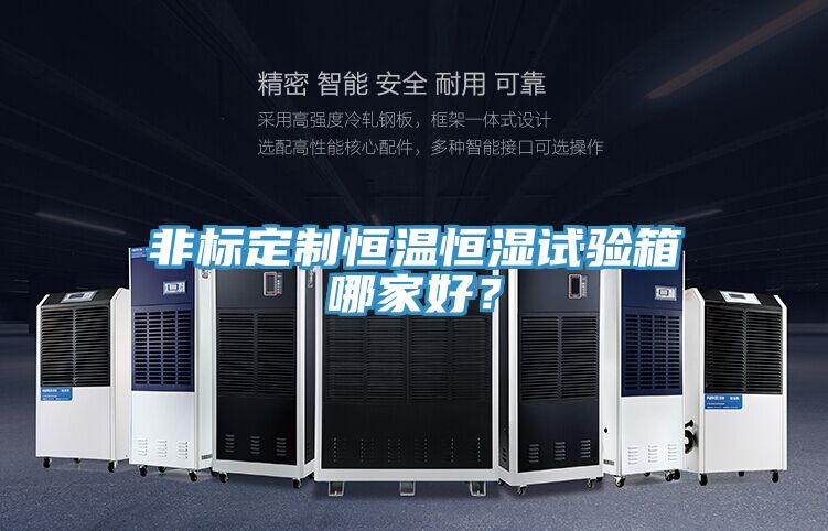 非標(biāo)定制恒溫恒濕試驗箱哪家好？