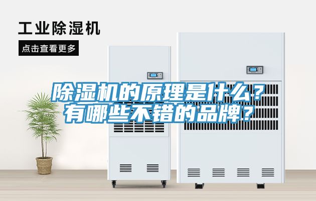 除濕機的原理是什么？有哪些不錯的品牌？