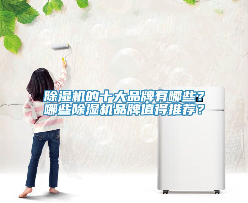 除濕機(jī)的十大品牌有哪些？哪些除濕機(jī)品牌值得推薦？