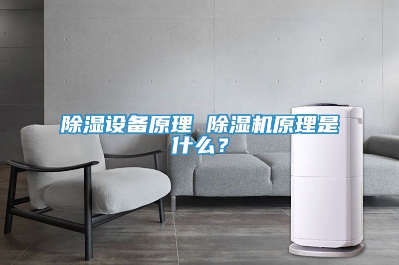 除濕設(shè)備原理 除濕機(jī)原理是什么？