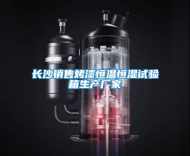 長沙銷售烤漆恒溫恒濕試驗(yàn)箱生產(chǎn)廠家