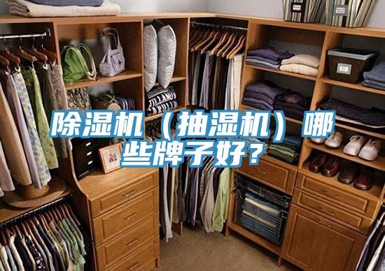 除濕機（抽濕機）哪些牌子好？