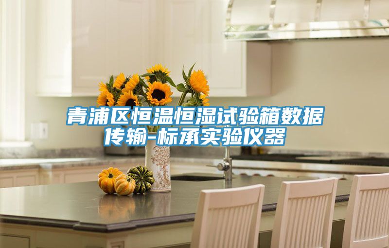 青浦區(qū)恒溫恒濕試驗箱數(shù)據(jù)傳輸-標承實驗儀器