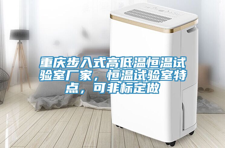 重慶步入式高低溫恒溫試驗(yàn)室廠家，恒溫試驗(yàn)室特點(diǎn)，可非標(biāo)定做