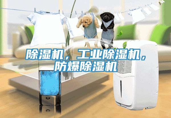 除濕機，工業(yè)除濕機，防爆除濕機