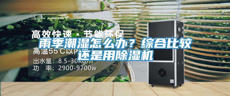 雨季潮濕怎么辦？綜合比較還是用除濕機(jī)