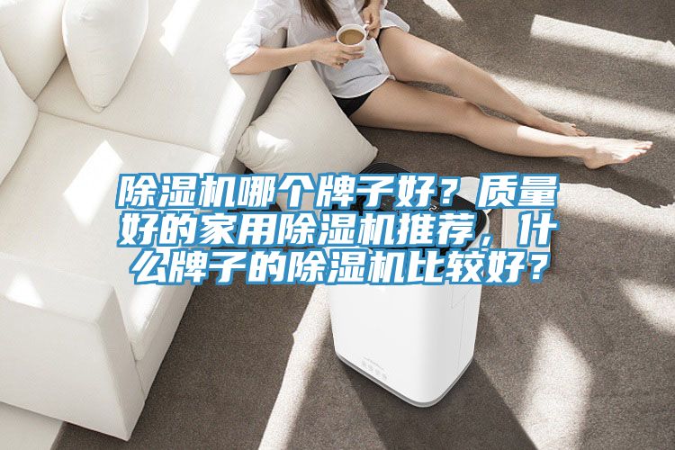 除濕機(jī)哪個(gè)牌子好？質(zhì)量好的家用除濕機(jī)推薦，什么牌子的除濕機(jī)比較好？