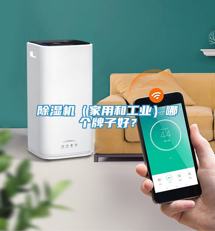 除濕機(jī)（家用和工業(yè)）哪個牌子好？