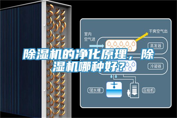 除濕機(jī)的凈化原理，除濕機(jī)哪種好？