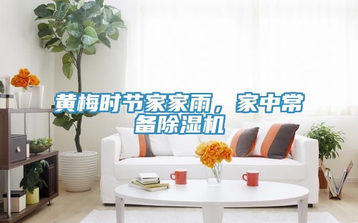 黃梅時節(jié)家家雨，家中常備除濕機