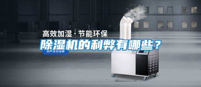除濕機(jī)的利弊有哪些？