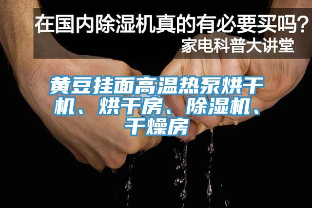 黃豆掛面高溫熱泵烘干機、烘干房、除濕機、干燥房