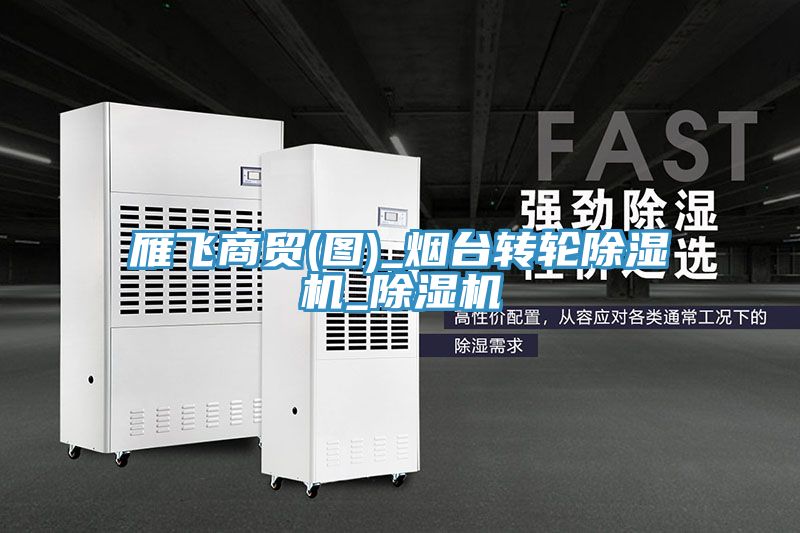 雁飛商貿(mào)(圖)_煙臺(tái)轉(zhuǎn)輪除濕機(jī)_除濕機(jī)