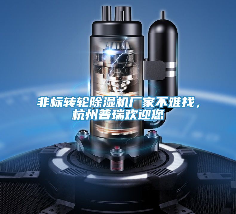 非標轉(zhuǎn)輪除濕機廠家不難找，杭州普瑞歡迎您