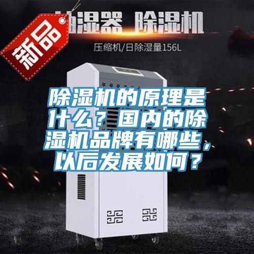 除濕機的原理是什么？國內(nèi)的除濕機品牌有哪些，以后發(fā)展如何？